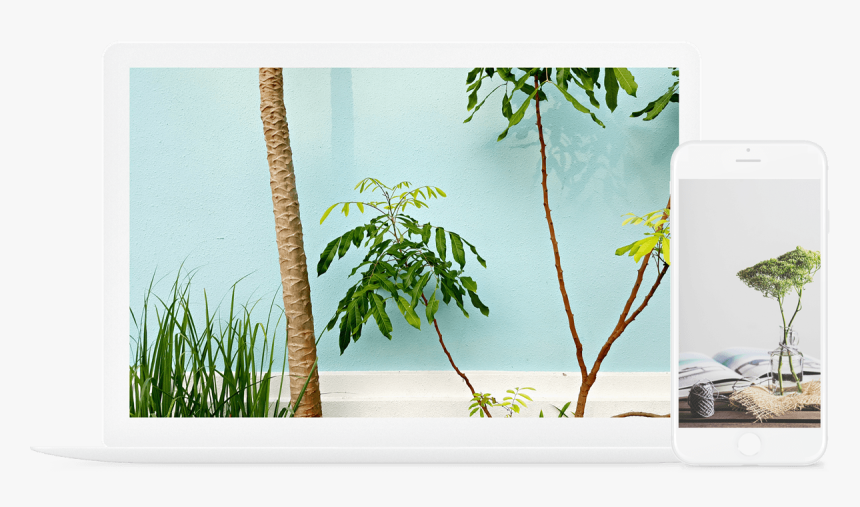 Brown Green Blue Color Schemes, HD Png Download