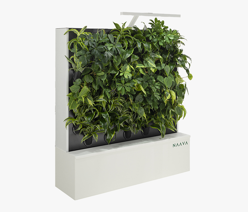 Flowerpot, HD Png Download