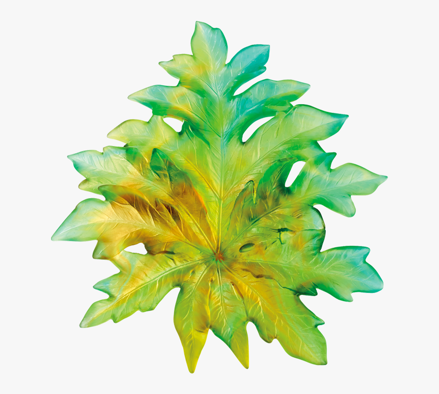 Pine, HD Png Download