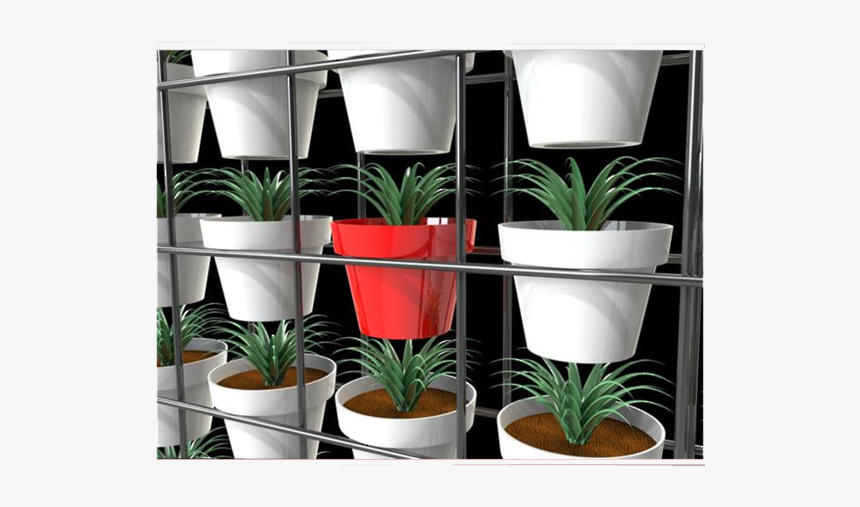 Green Walls - Flowerpot, HD Png Download