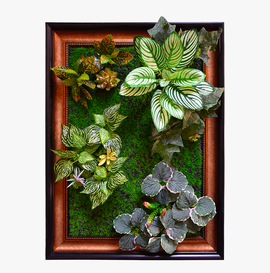 Green Wall Png, Transparent Png