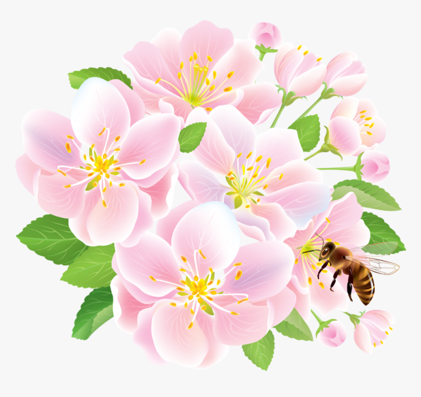 Flower Delivery Floristry Studio Ghibli - Lily, HD Png Download