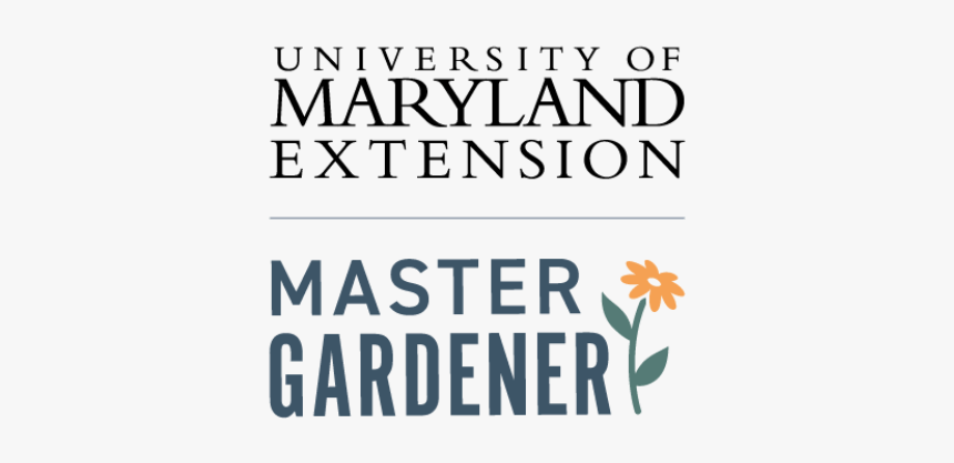 University Of Maryland, HD Png Download