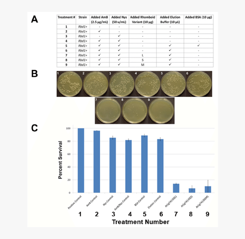 Screenshot, HD Png Download