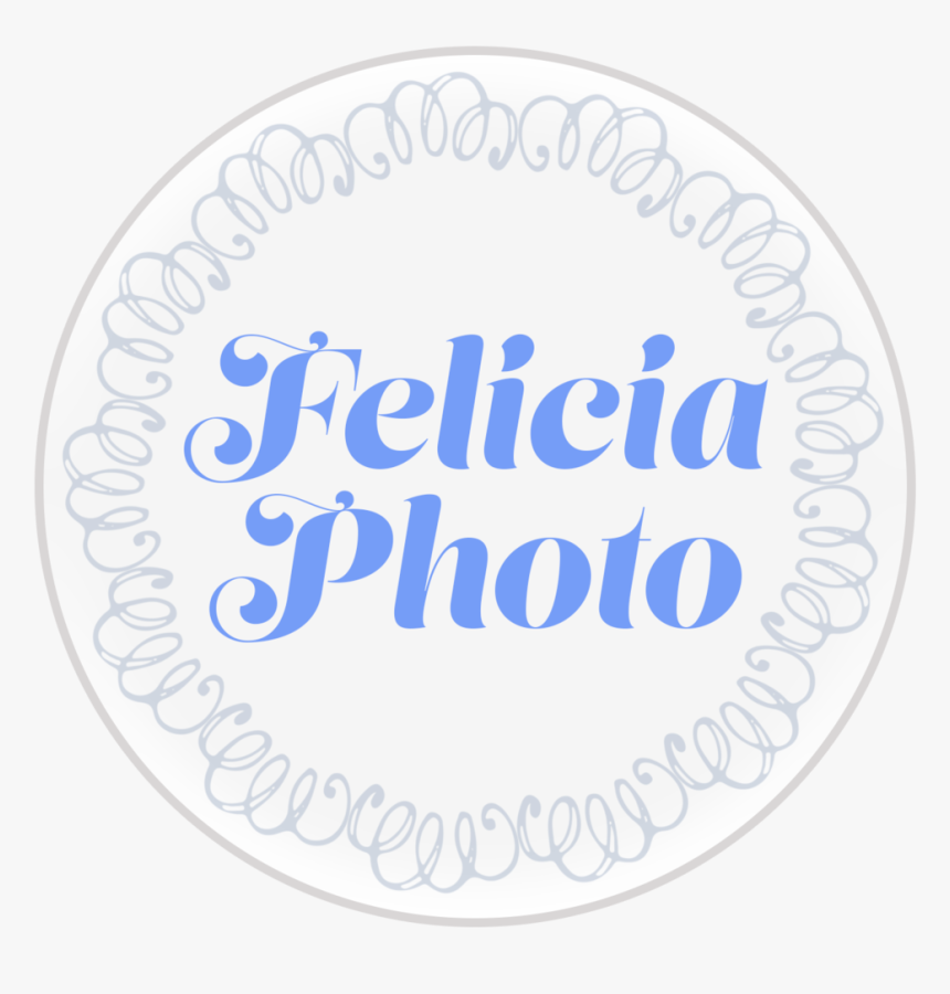 Check Marks In Cloud Icon - Data, HD Png Download