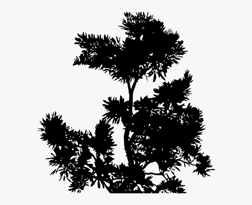 Nature Sustainability Philosophy Of Architecture Design - Silhouette, HD Png Download