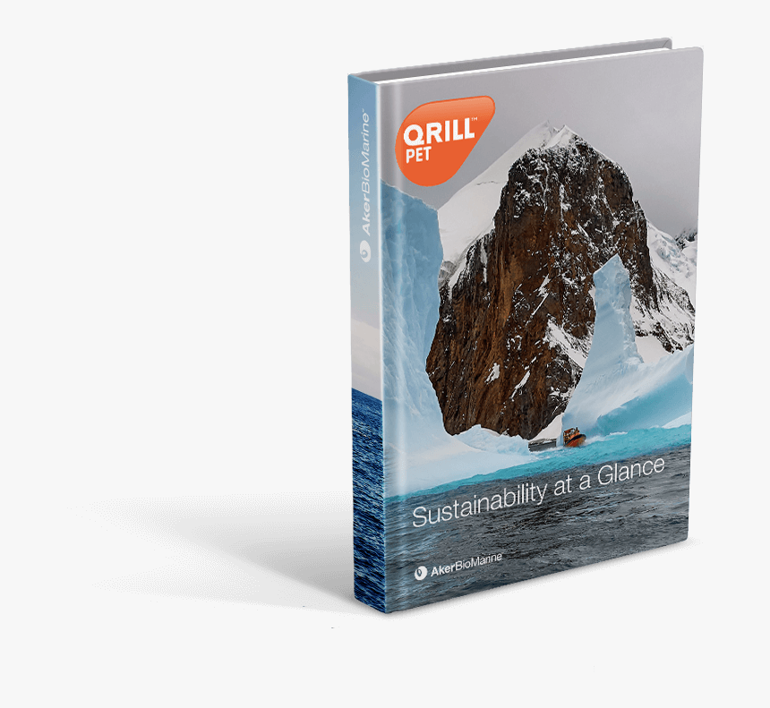 Ice Cream Bar, HD Png Download