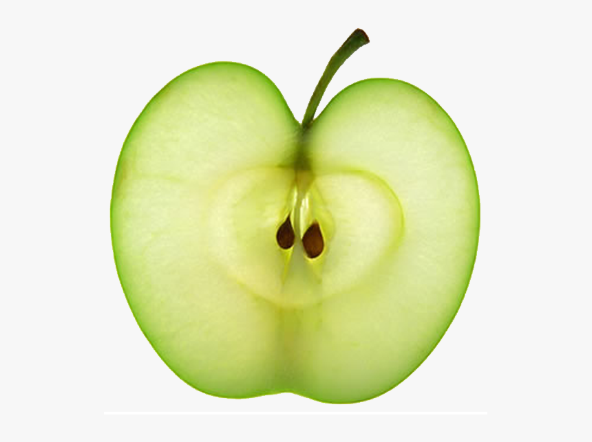 Pip Of An Apple, HD Png Download