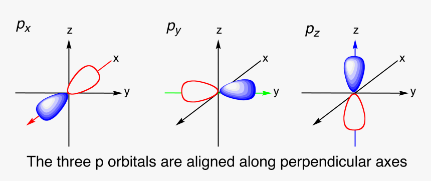 3 P Orbitals - Axial Orbitals, HD Png Download