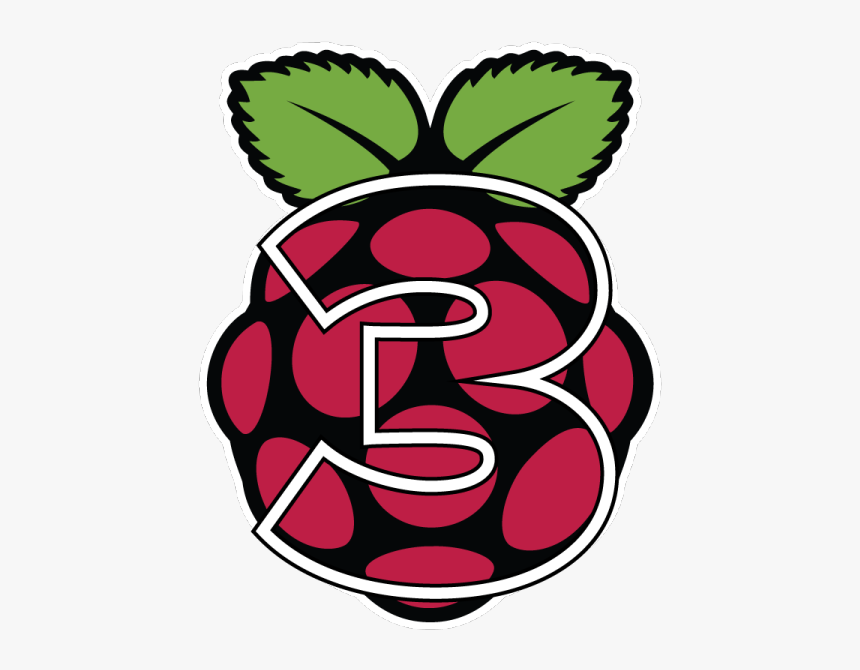 Raspberry Pi Symbol