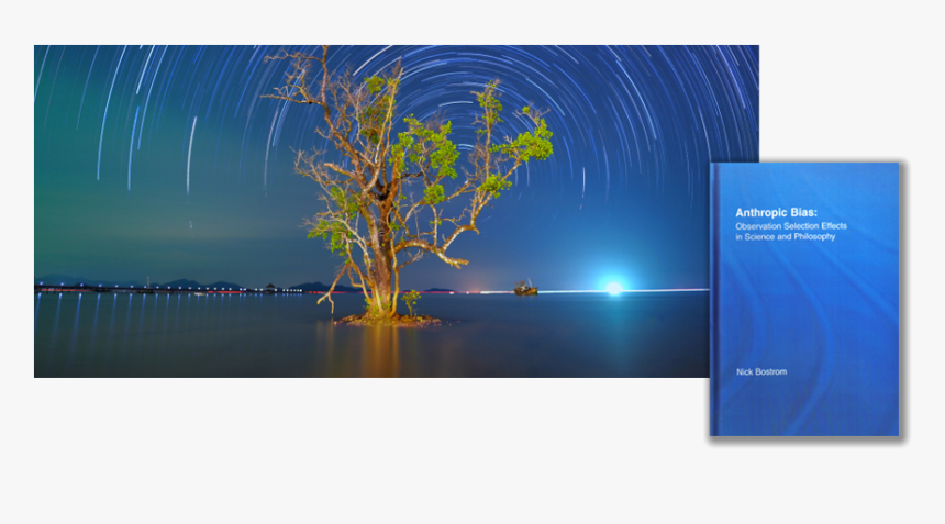 Elm, HD Png Download