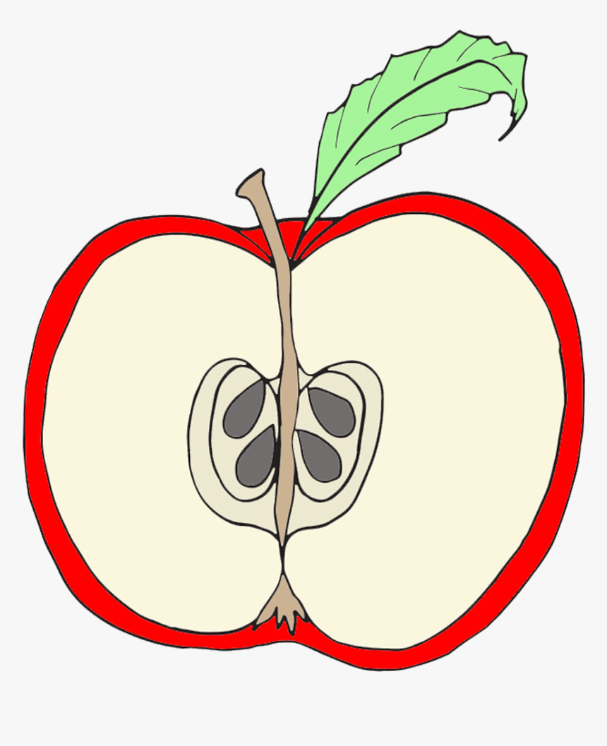 Clip Art Red Apple Clipart Wikiclipart - Parts Of An Apple Clipart, HD Png Download