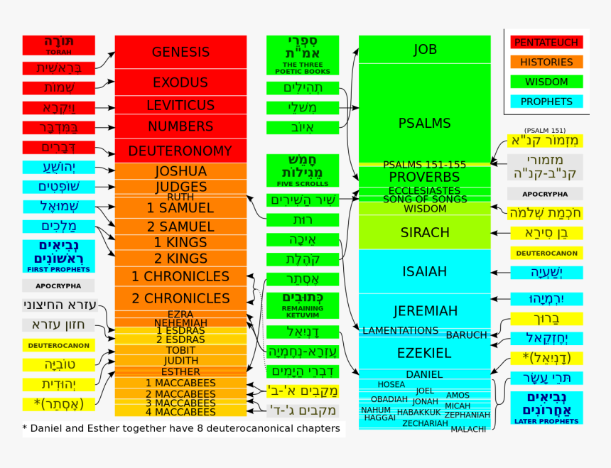 Many Books Are In The Bible, HD Png Download