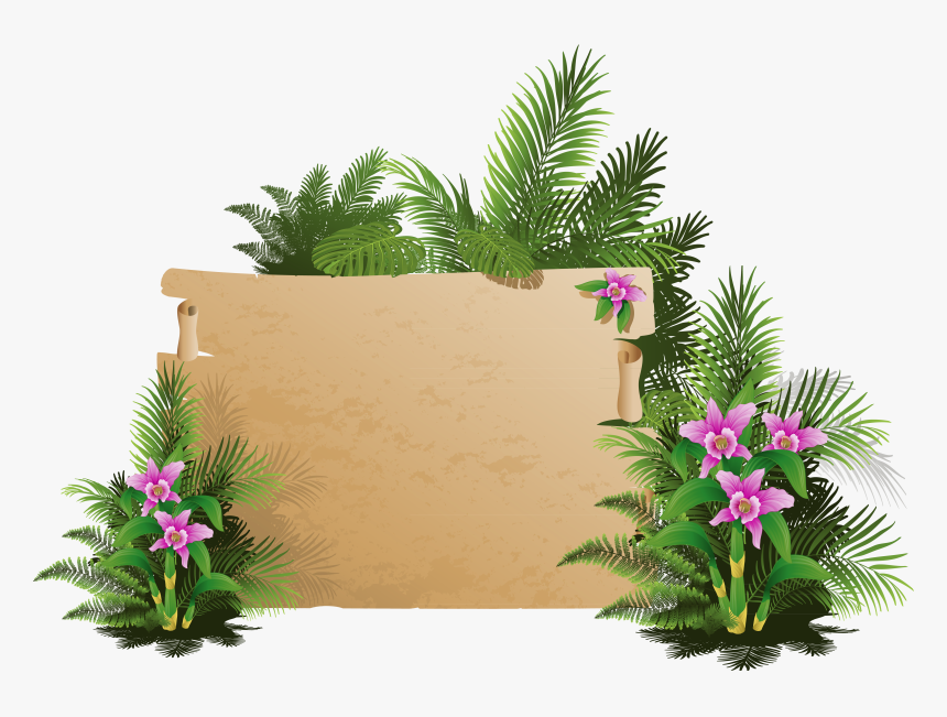Summer Exotic Board Png, Transparent Png