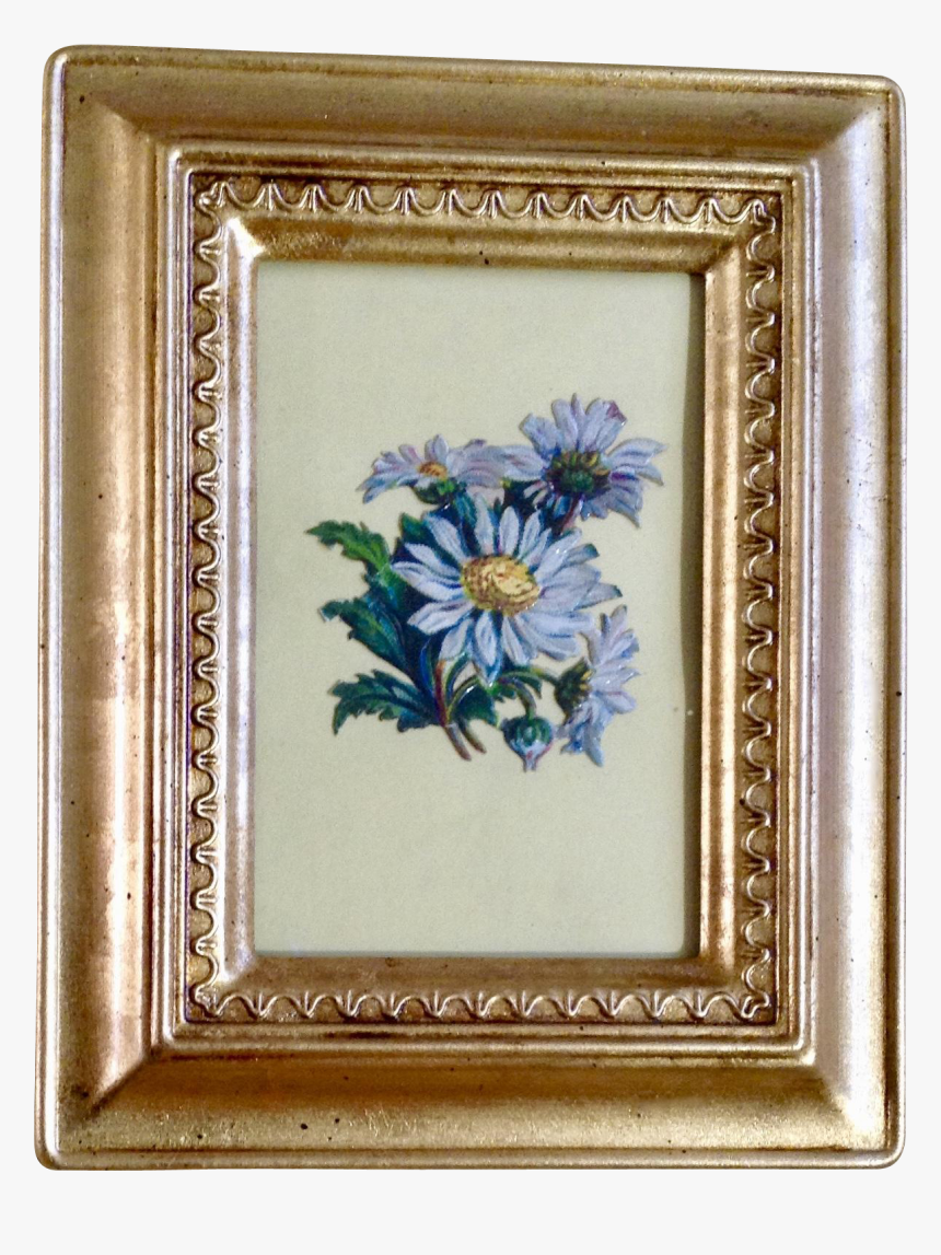 Picture Frame, HD Png Download