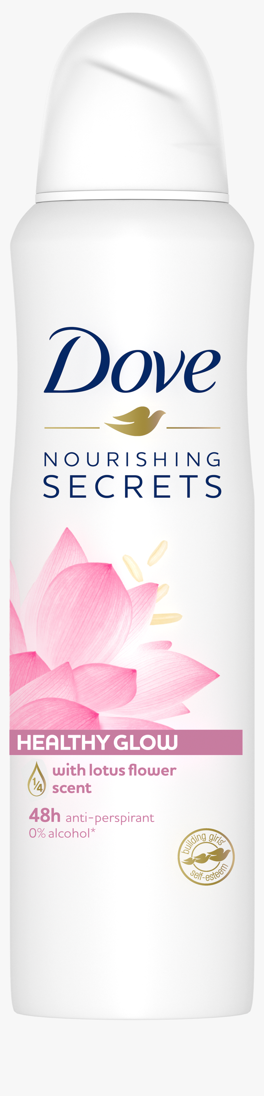 Dove, HD Png Download