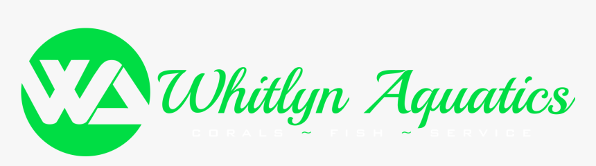 Whitlyn Aquatics - Los Angeles, HD Png Download
