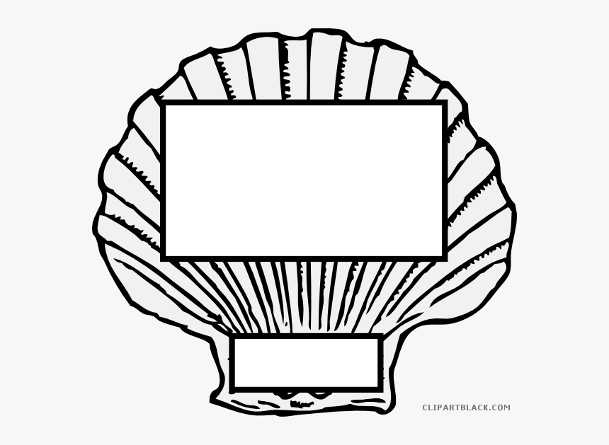 Shell Clipart Horse Conch - Seashell Black And White, HD Png Download