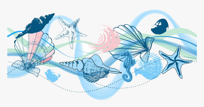 Transparent Seashell Clipart Png - Graphic Design, Png Download