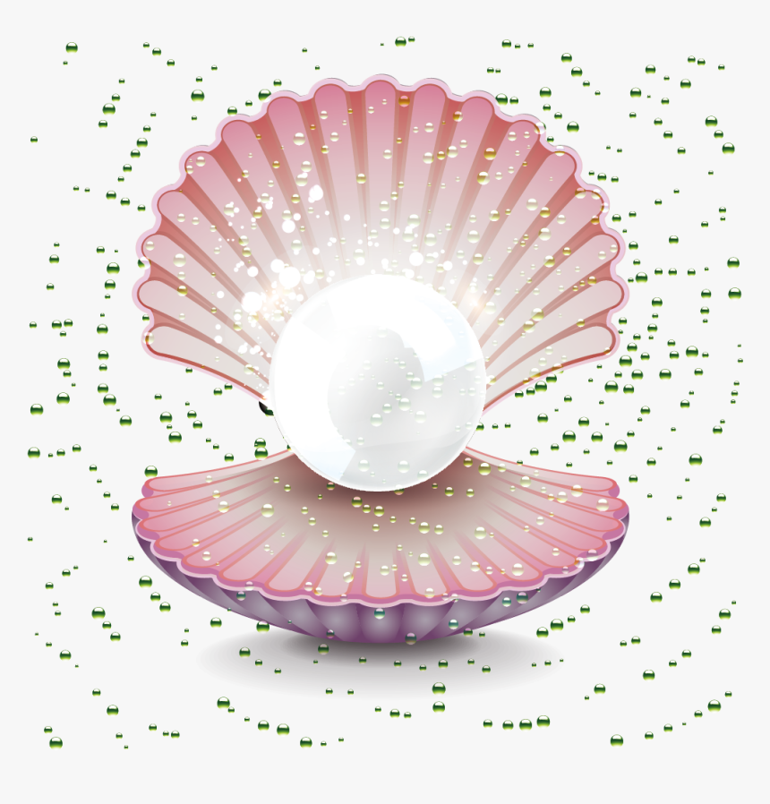 Pearl Seashell Gemstone Clip - Pearl In Oyster Drawing, HD Png Download