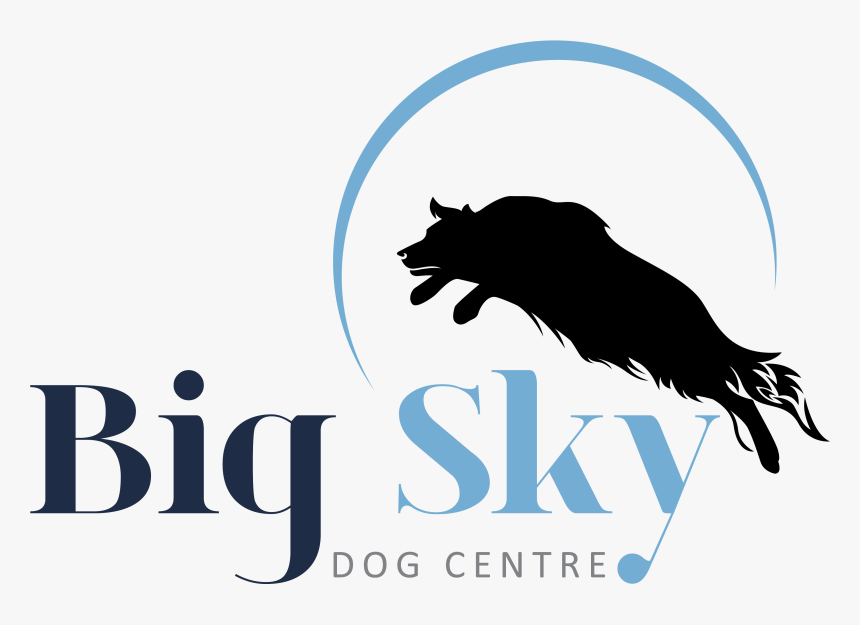 Transparent Target Dog Png - Dog Catches Something, Png Download