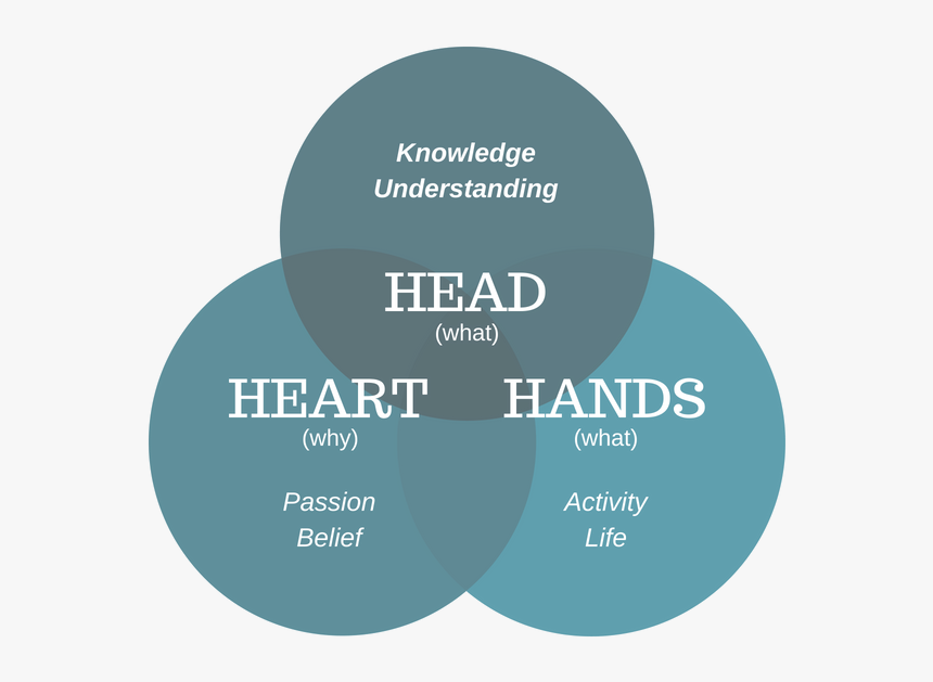 Transparent Heart Hands Png - Graphic Design, Png Download