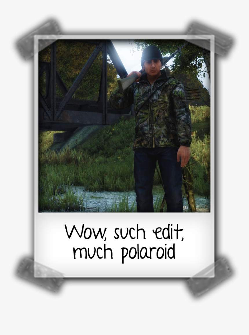 Grass, HD Png Download