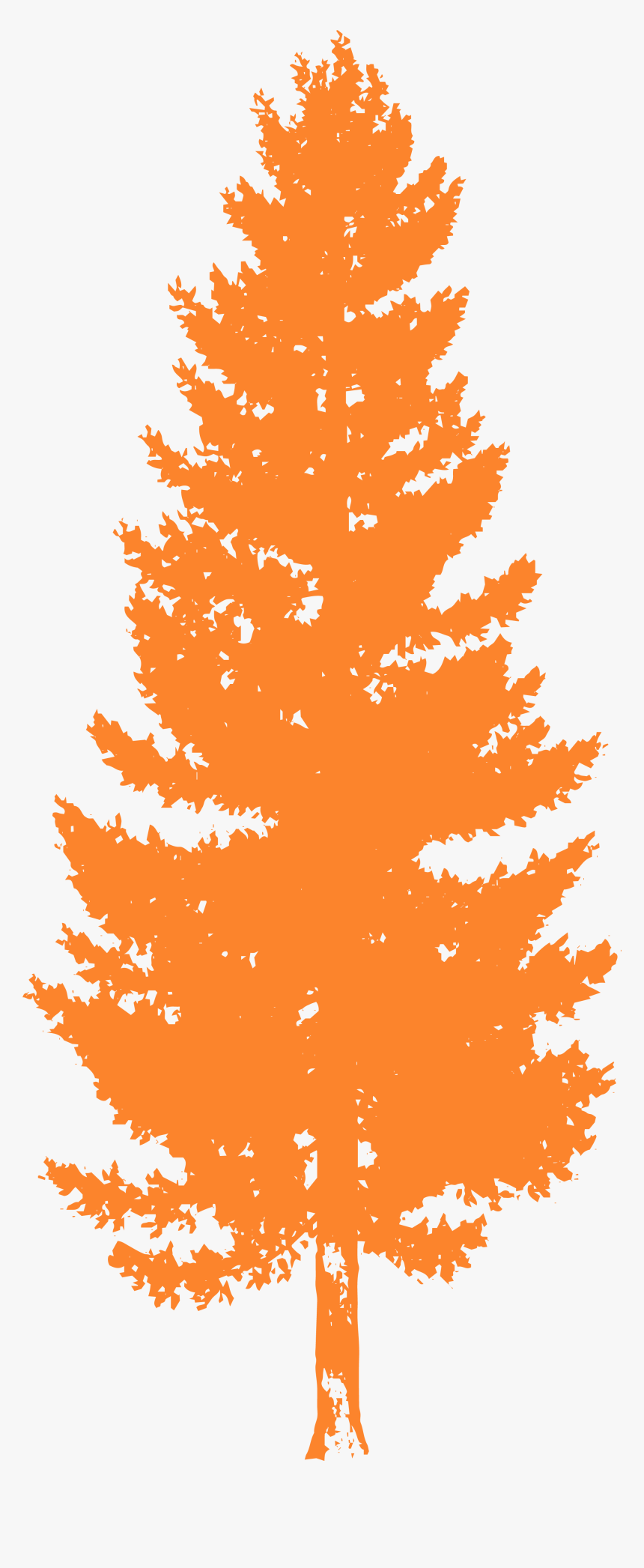 Pine Trees For Photoshop, HD Png Download