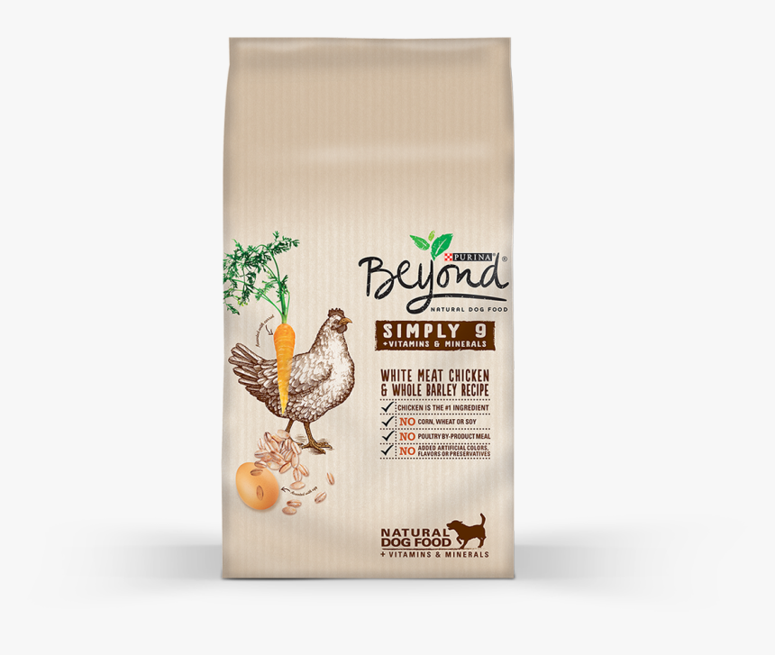 purina beyond dry dog food