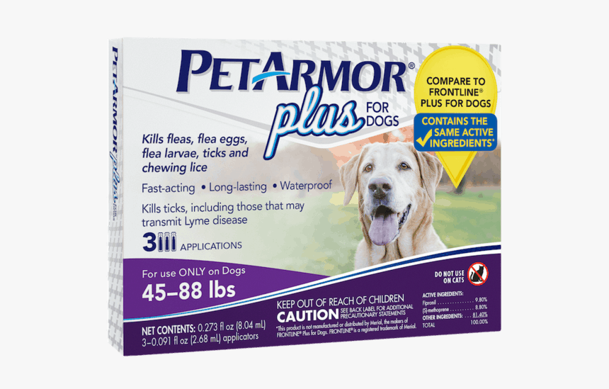 Companion Dog, HD Png Download