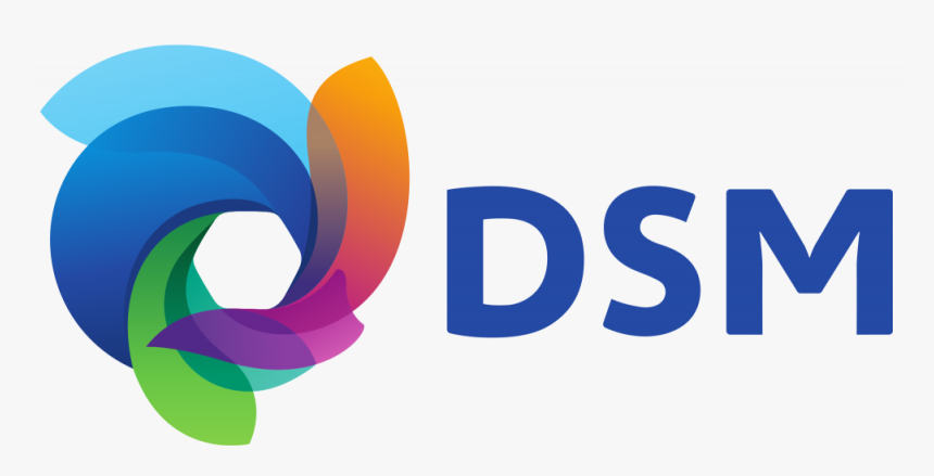 Dsm Logo Png, Transparent Png