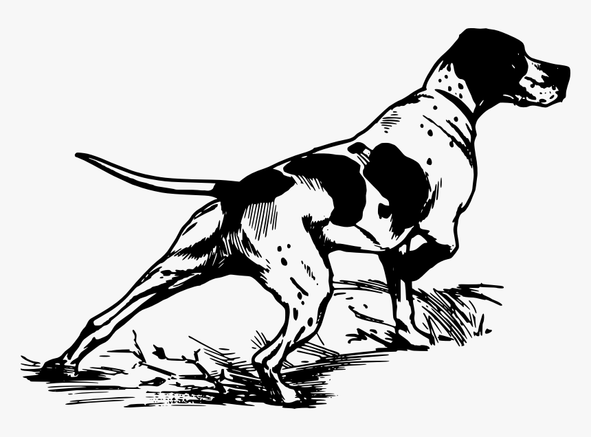 Hunting Dog Ready To Go - Hunting, HD Png Download