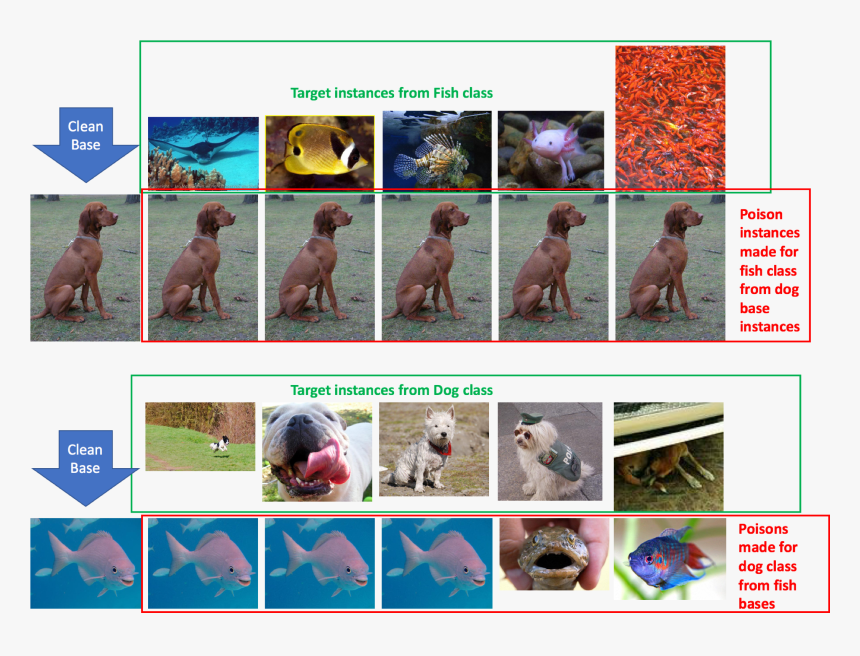 Dog Vs Fish Classifier Poisoning - Neural Network Data Poisoning, HD Png Download