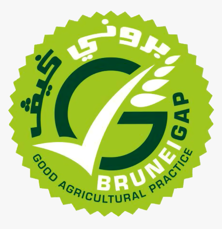 Brunei Gap Logo - Linked Learning Gold Certification, HD Png Download