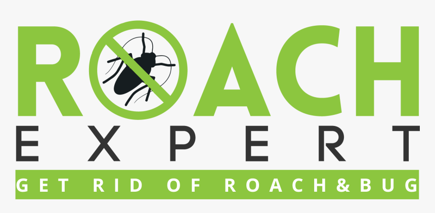Roach Expert Logo - Graphic Design, HD Png Download