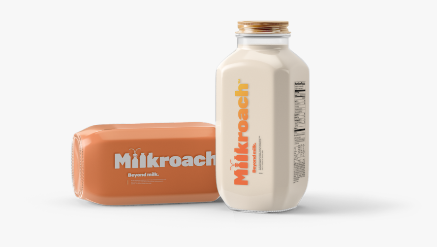 Design, HD Png Download