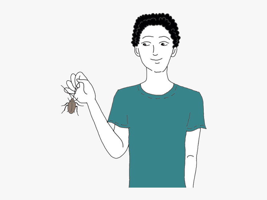 Roach / Cockroach - Cockroach With Black Hair, HD Png Download