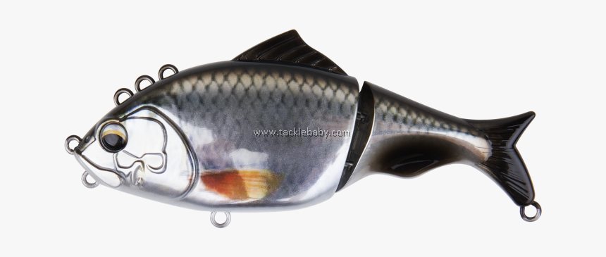 Carp, HD Png Download