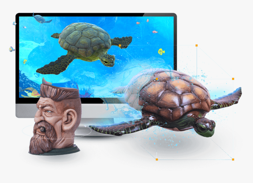 Decrease Costs Effectively - Gopher Tortoise, HD Png Download