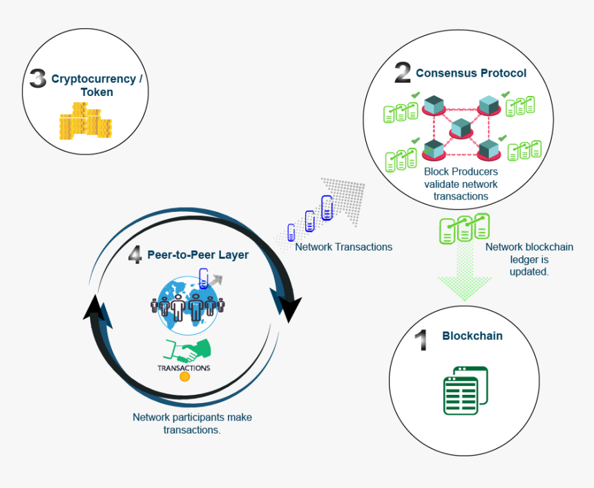 Circle, HD Png Download