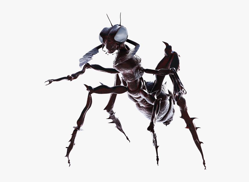 Download Creatures Png File - Sci Fi Creature Png, Transparent Png
