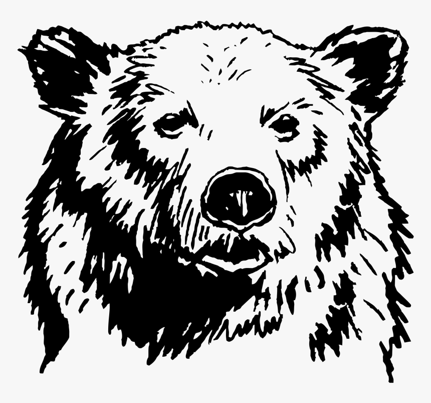 Grizzly Bear, HD Png Download