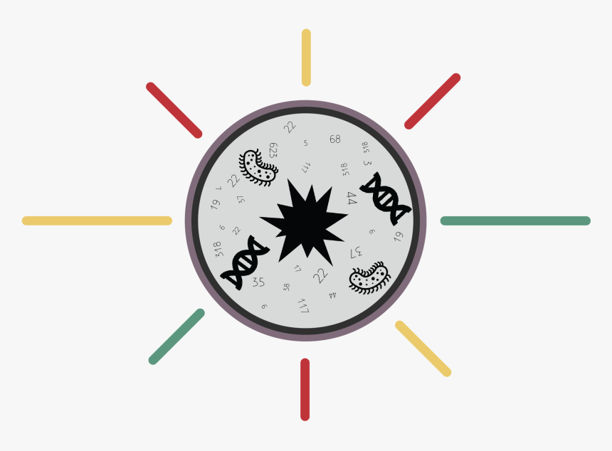 Results Explosion-01 - Ploop, HD Png Download