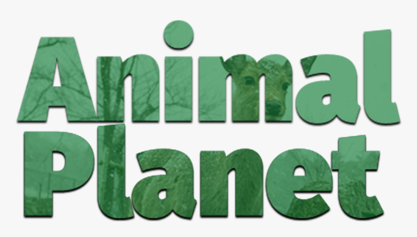 1 Válasz 0 Retweet 4 Kedvelés - Animal Planet Dota 2, HD Png Download