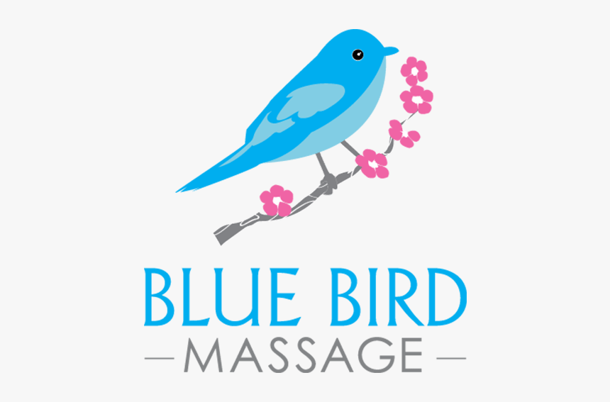 Mountain Bluebird, HD Png Download