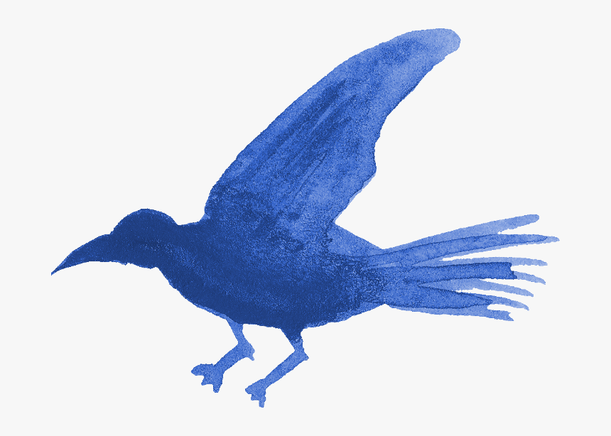 Blue Jay, HD Png Download