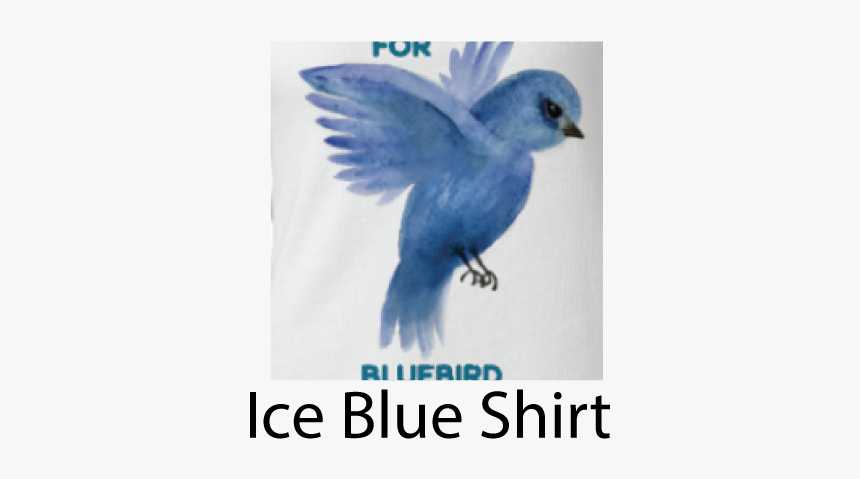 Placecast, HD Png Download