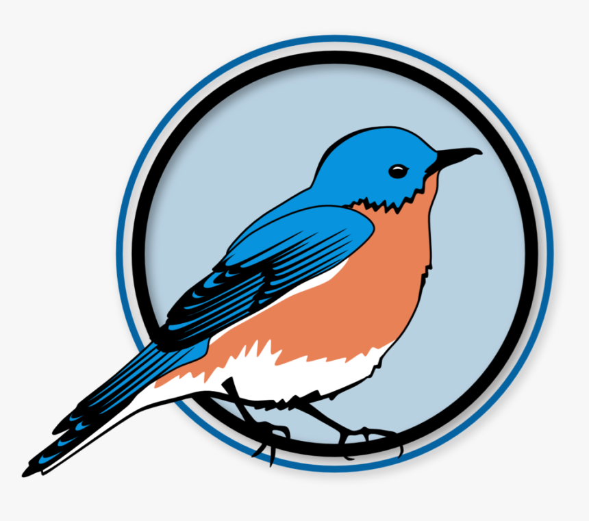 Eastern Bluebird, HD Png Download