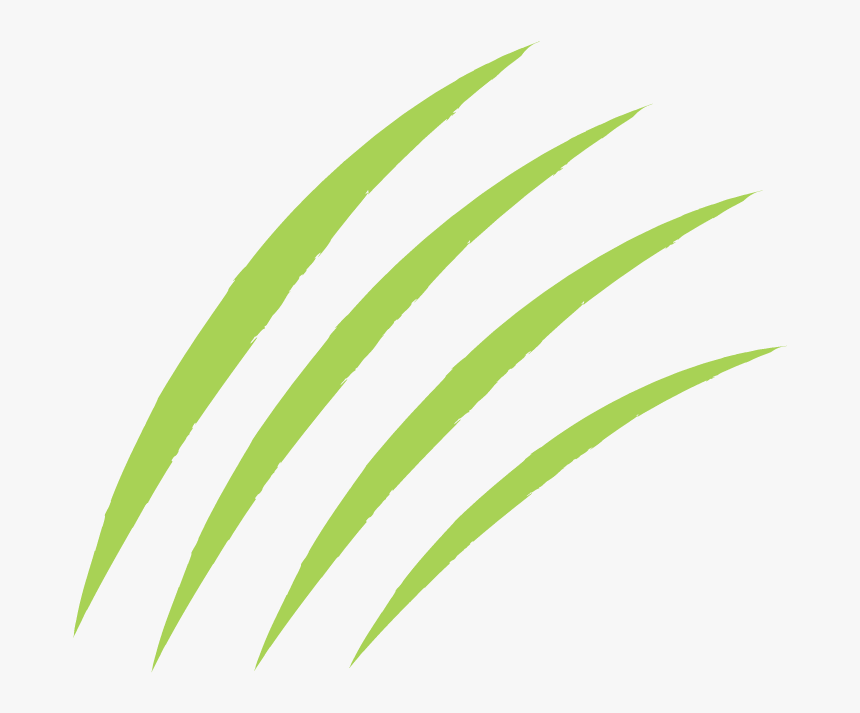 Logo Design By Superspectrum For General Mills, Inc, HD Png Download