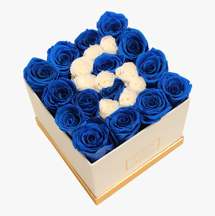 Blue Rose, HD Png Download